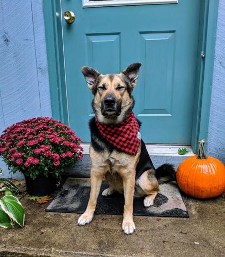 Reader Pics: Oct. 10