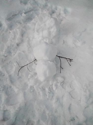 Reader Pics: Jan. 13