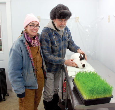 Rabbit for dinner - Steve and Kay Doyon breed animals for local restaurants at Song Away Farm