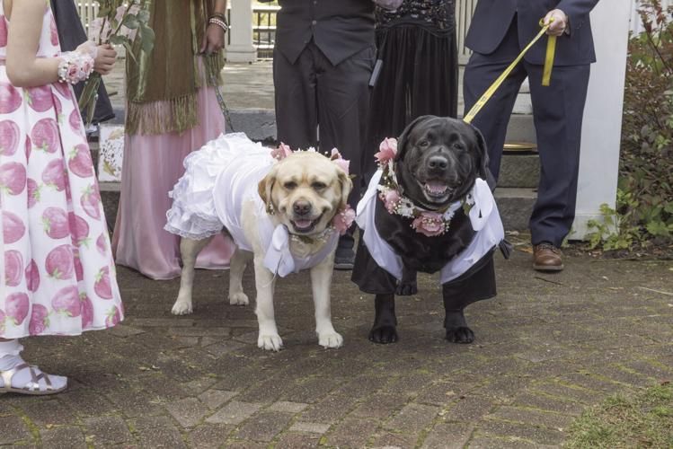 Lucky and Daisy