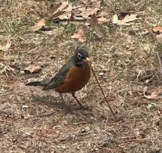 Reader Pics: April 13