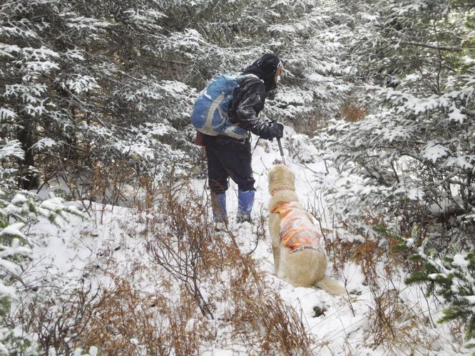 10-26 OUTDOOR bushwacking