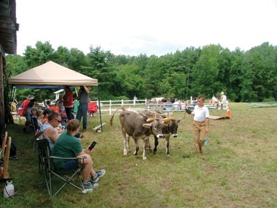 74th annual Belknap County 4-H Fair stays true to its roots