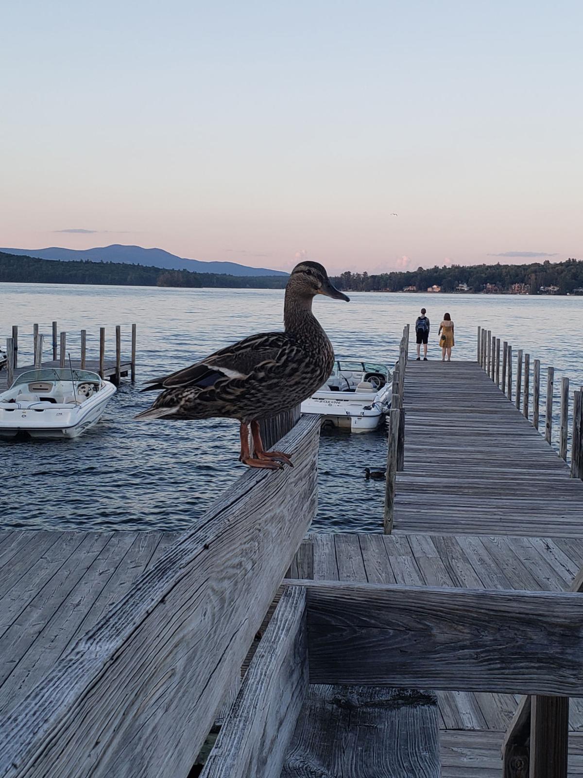 Reader Pics: July 1
