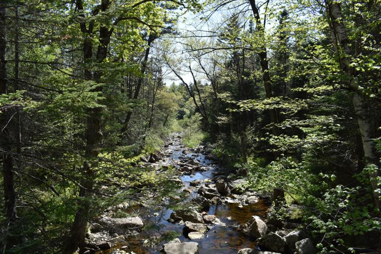 05-21 Sandwich Notch river