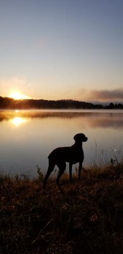 Reader Pics: Sept. 13