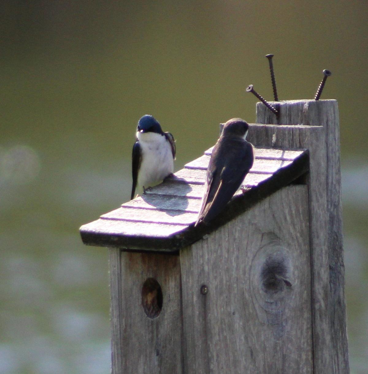 Reader Pics: May 23