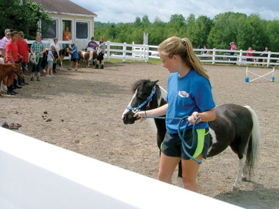 74th annual Belknap County 4-H Fair stays true to its roots