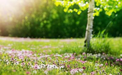 An ER Doctor's Guide to Staying Safe in Summer Heat