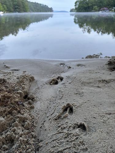 Reader Pics: June 27