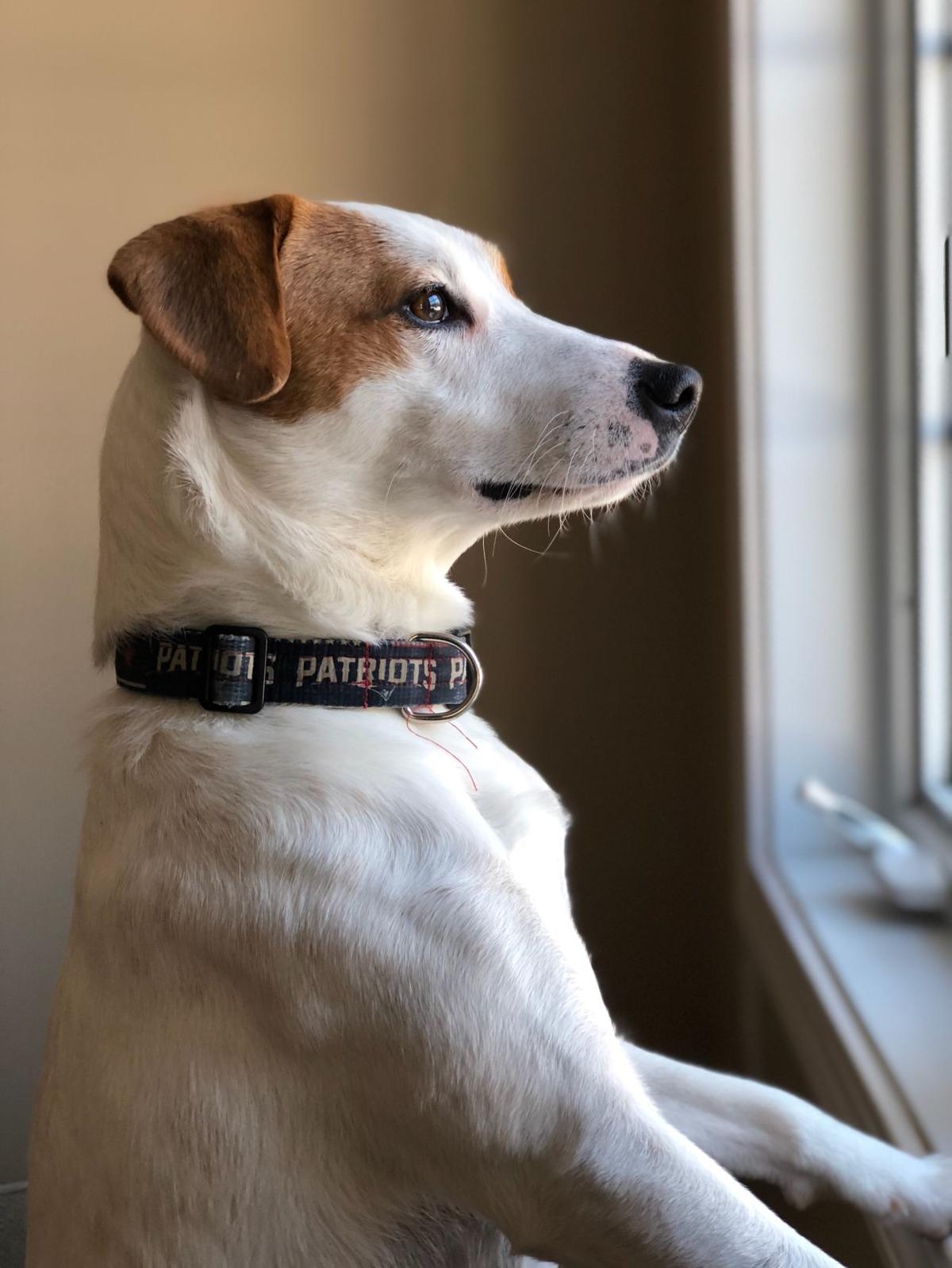 Reader Pics: Dec. 6
