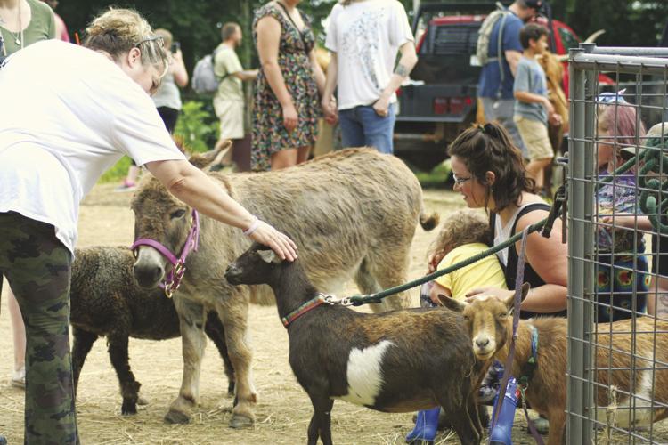 10-4 OUTDOORS Donkey+Goats_InPixio.jpg