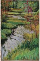 12-08 Swamp_Maples.jpg