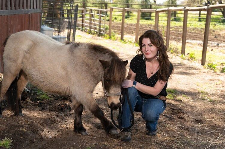 Donkeys improve teenagers’ mood in just three minutes, reveals new research