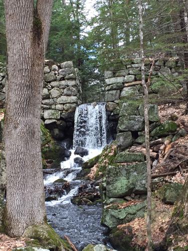 Reader Pics: April 26