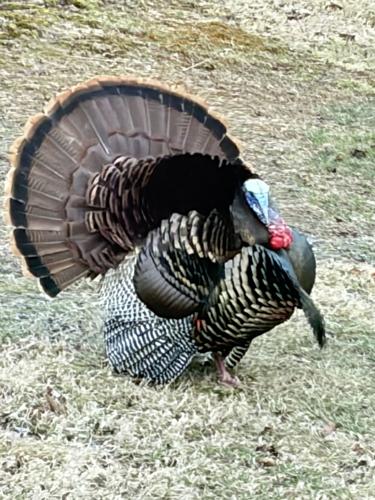 Reader Pics: April 19