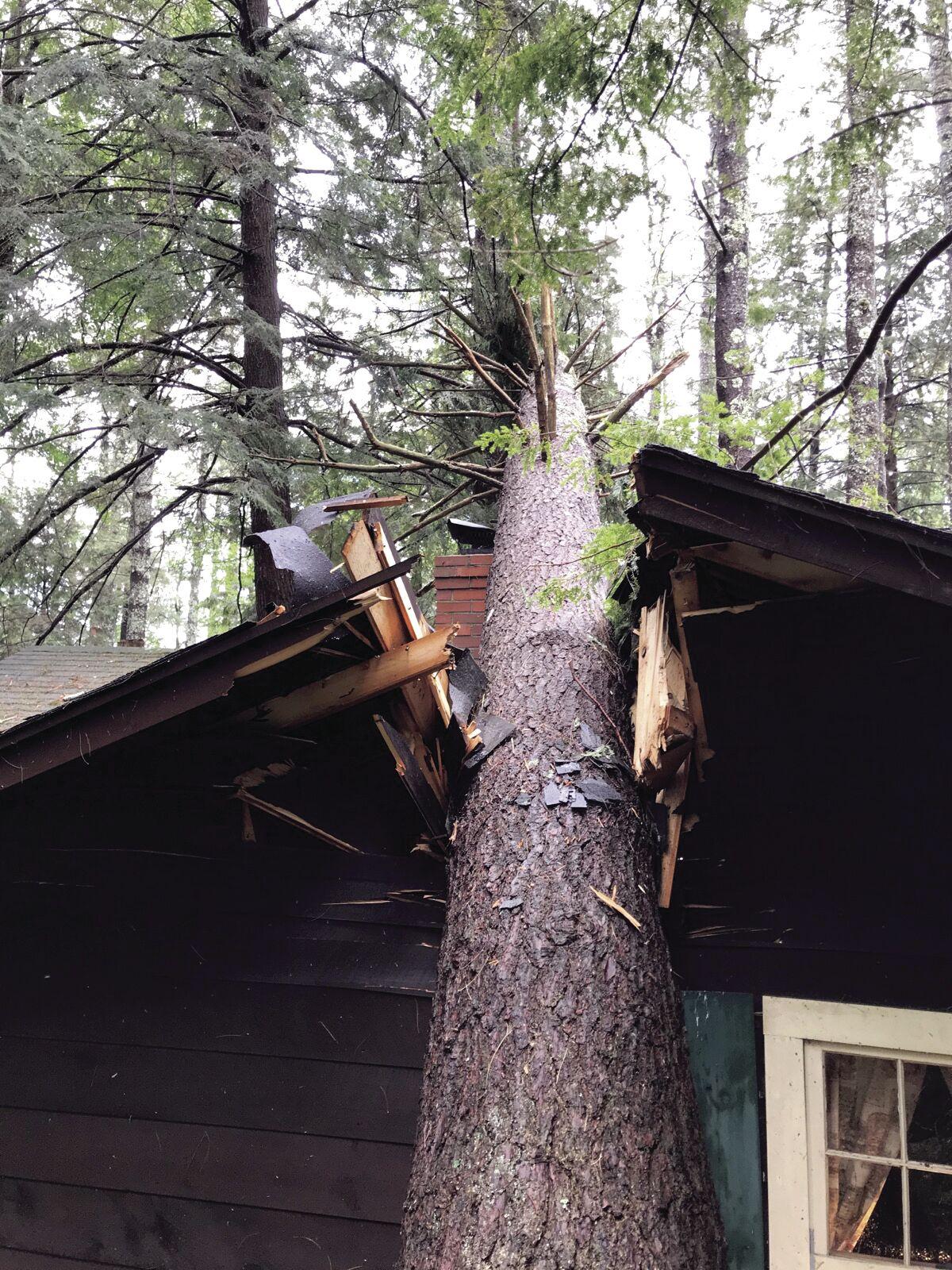 Cottage Colony Manager Says Microburst Hit Like Freight Train Local News Laconiadailysun Com