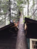 Cottage colony manager says microburst hit like freight train
