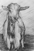 Gallery offers drawing and needle-felting classes in August