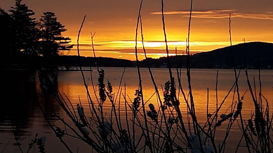 Reader Pics: Nov. 23