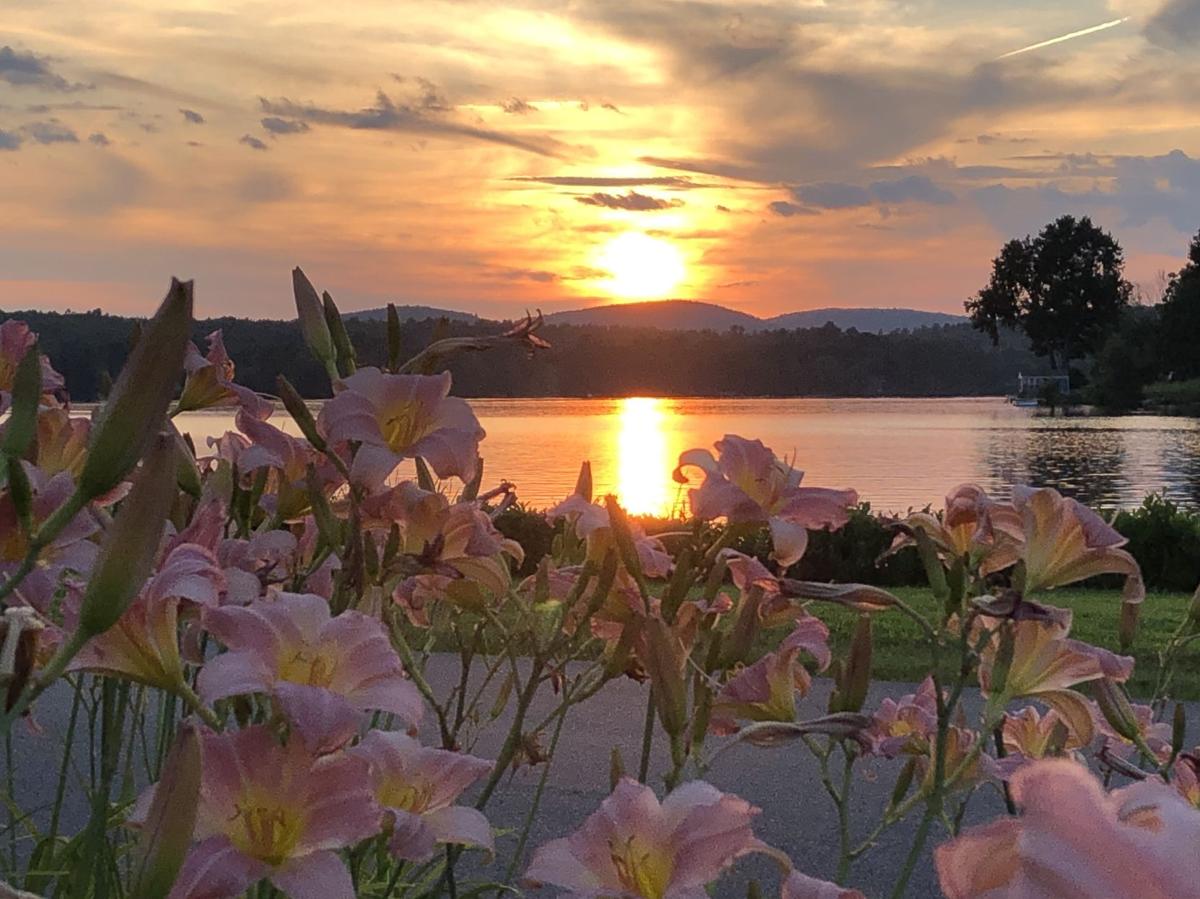 Reader Pics: Aug. 2