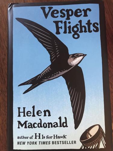 Helen Macdonald
