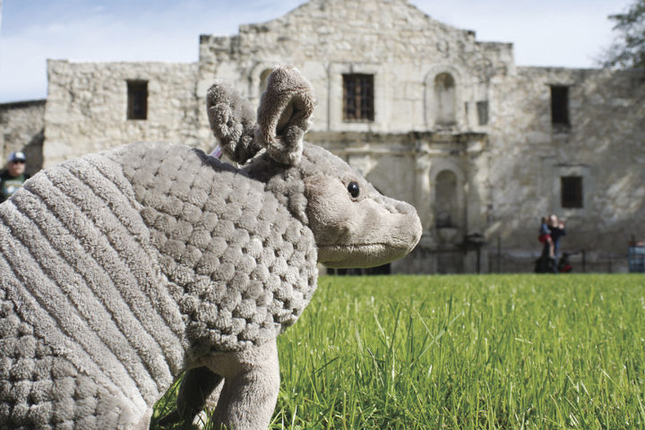 03-08 OUTDOORS RudyAlamo02.JPG