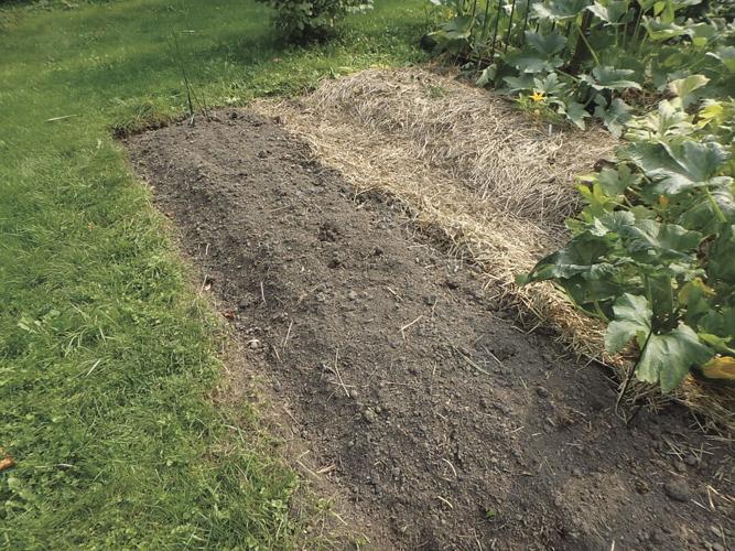 09-19 HOME Never leave the soil bare. Cover with mulch to keep out wind-blown seeds.jpg