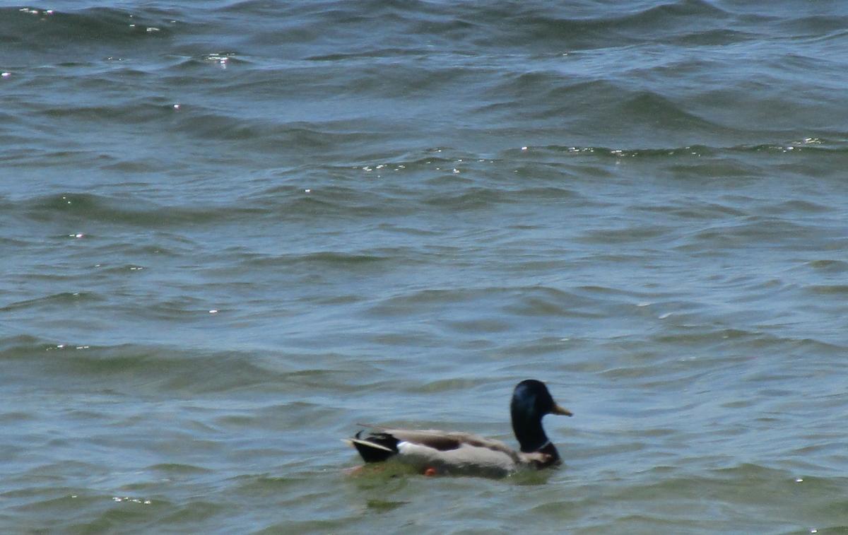 Reader Pics: June 29