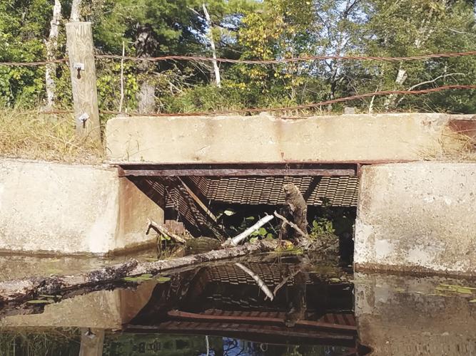 06-05 OUTDOORS Plugged Dam under  a Roadway.jpg