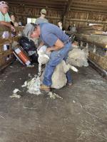 Ramblin’ Vewe Farm hosts a day of exploration and fun