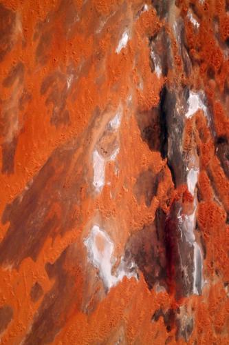 Astronaut captures art museum views of Earth from ISS