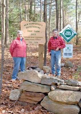 Outstanding in their ... forest