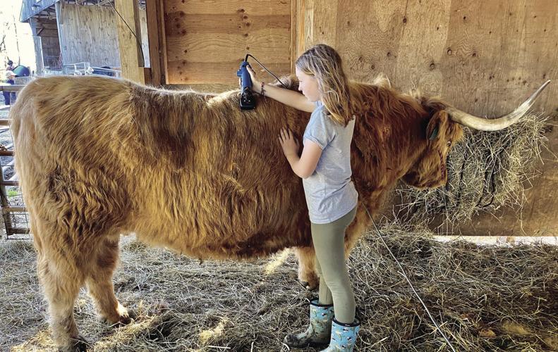 05-22 OUTDOORS Clipping_InPixioLG