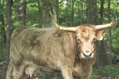 08-03 OUTDOORS Kelsie5-1_InPixioMED.jpg