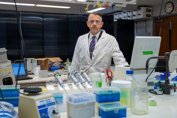 Fish are being killed off by pesticide, warns new research