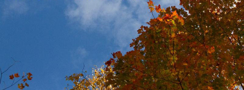 Science Center Fall Fun