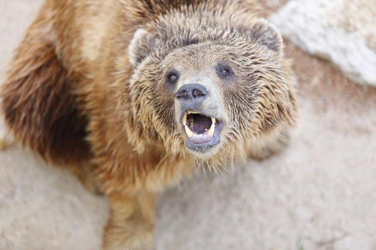 pexels-mohamed9380-36669764