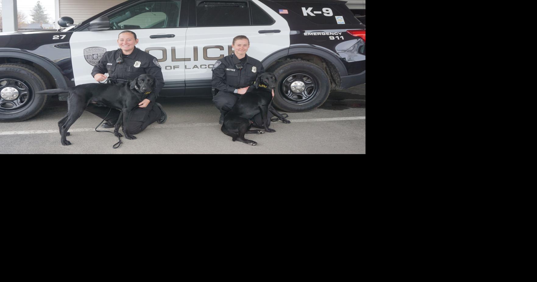 Zulu and Voodoo continue LPD’s K9 program