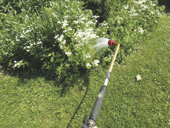 07-11 HOME A watering wand directs a soft spray just where you want it.jpg