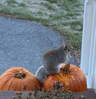 READER pics, reader-submitted shots of people, places, events, and scenery from around the Lakes Region