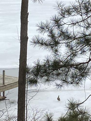 Reader Pics: Feb. 13