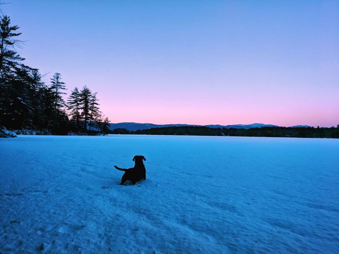 Reader Pics: Jan. 21