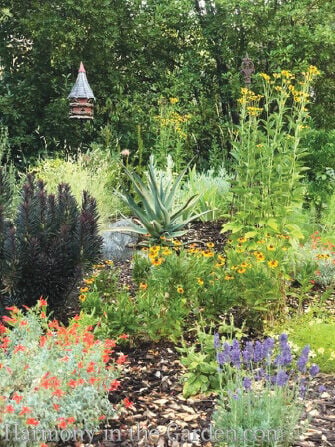 native plants