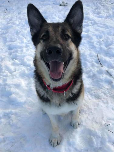 12-7 NH Humane Sicario