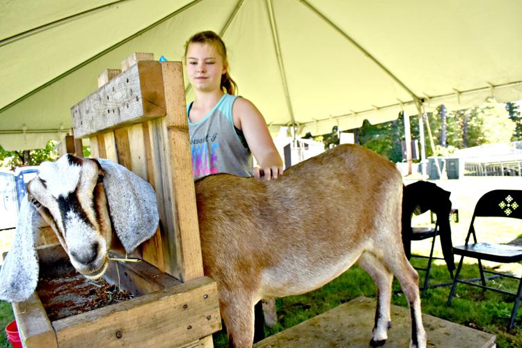 10-09 Sandwich Fair Annie