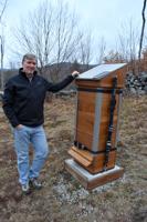 These hives are the bee's knees