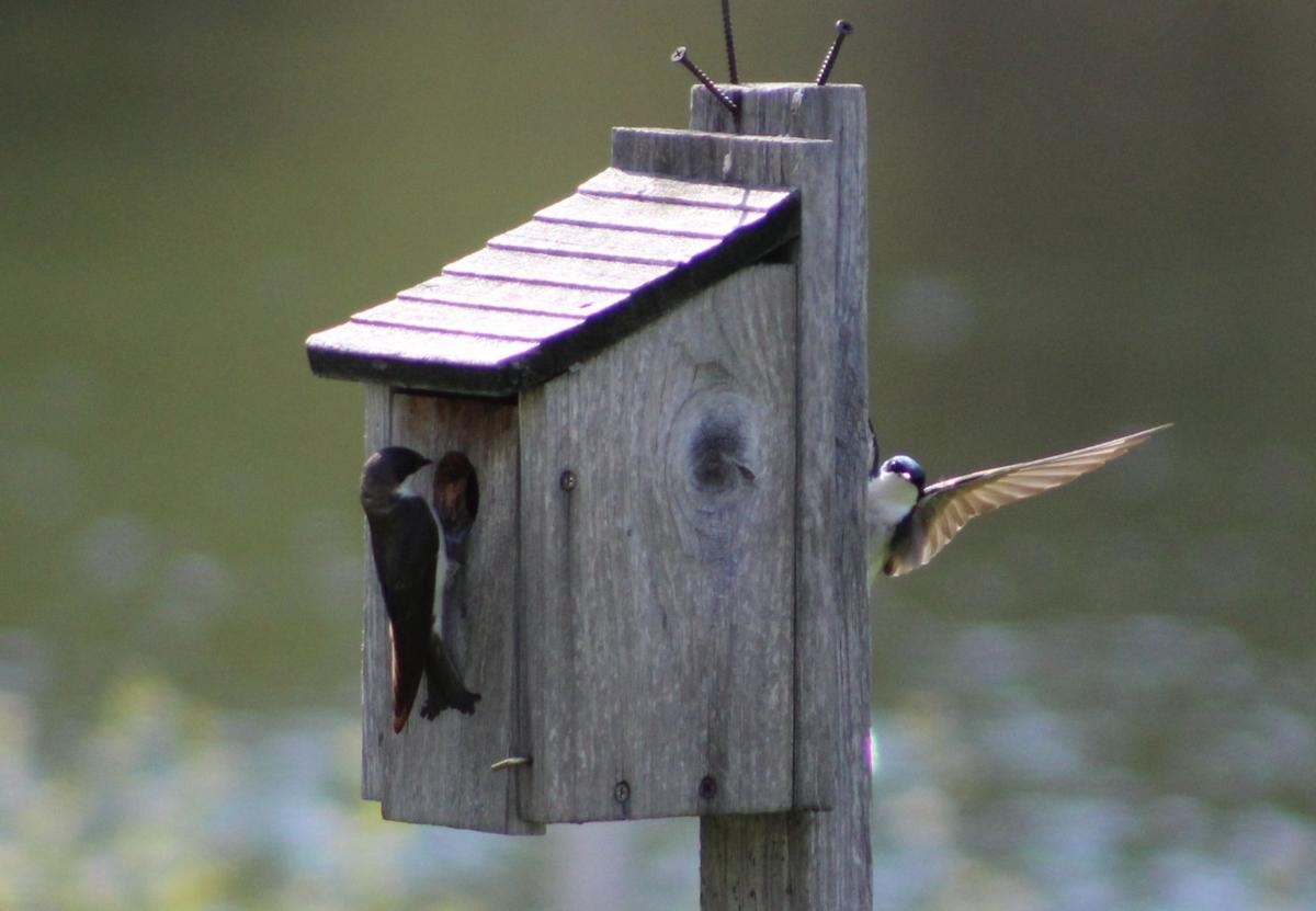 Reader Pics: May 23