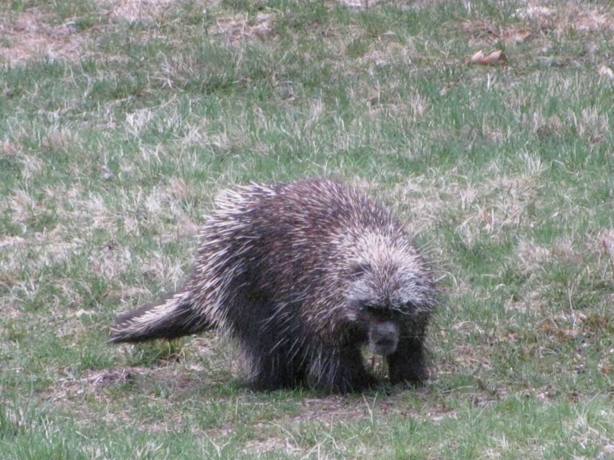 Reader Pics: May 7