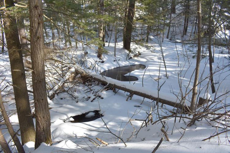 02-20 BCCD Poor Farm Brook